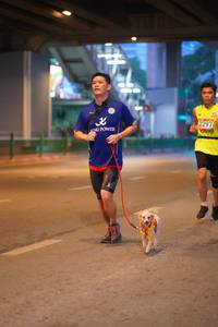 BIB: 2297
                            <button type="button" onclick="openModal(5887166)" class="btn btn-primary btn-sm float-right btn-popup" data-toggle="modal" data-target=".modal-high-quality">
                        <i class="fas fa-shopping-cart"></i> Add to Cart
                    </button>
                                            <button type="button" onclick="isThisMe(5887166, true)" class="btn btn-success btn-sm float-right btn-popup btn-isme hidden" data-toggle="tooltip" data-placement="bottom" title="นี่คือรูปของคุณใช่ไหม คลิกที่นี่เพื่อเอาเข้าอัลบั้ม">
                        <i class="fas fa-plus"></i> Add to album
                    </button>
                    <button type="button" onclick="isThisMe(5887166, false)" class="btn btn-warning btn-sm float-right btn-popup btn-isnotme hidden">
                        <i class="fas fa-ban"></i> Remove from album
                    </button>