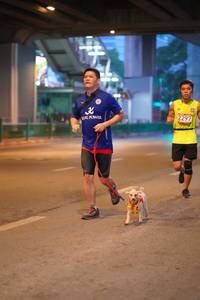 BIB: 2297
                            <button type="button" onclick="openModal(5887152)" class="btn btn-primary btn-sm float-right btn-popup" data-toggle="modal" data-target=".modal-high-quality">
                        <i class="fas fa-shopping-cart"></i> Add to Cart
                    </button>
                                            <button type="button" onclick="isThisMe(5887152, true)" class="btn btn-success btn-sm float-right btn-popup btn-isme hidden" data-toggle="tooltip" data-placement="bottom" title="นี่คือรูปของคุณใช่ไหม คลิกที่นี่เพื่อเอาเข้าอัลบั้ม">
                        <i class="fas fa-plus"></i> Add to album
                    </button>
                    <button type="button" onclick="isThisMe(5887152, false)" class="btn btn-warning btn-sm float-right btn-popup btn-isnotme hidden">
                        <i class="fas fa-ban"></i> Remove from album
                    </button>