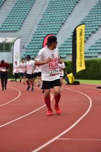 BIB: 
                            <button type="button" onclick="openModal(6106992)" class="btn btn-primary btn-sm float-right btn-popup" data-toggle="modal" data-target=".modal-high-quality">
                        <i class="fas fa-shopping-cart"></i> Add to Cart
                    </button>
                                            <button type="button" onclick="isThisMe(6106992, true)" class="btn btn-success btn-sm float-right btn-popup btn-isme hidden" data-toggle="tooltip" data-placement="bottom" title="นี่คือรูปของคุณใช่ไหม คลิกที่นี่เพื่อเอาเข้าอัลบั้ม">
                        <i class="fas fa-plus"></i> Add to album
                    </button>
                    <button type="button" onclick="isThisMe(6106992, false)" class="btn btn-warning btn-sm float-right btn-popup btn-isnotme hidden">
                        <i class="fas fa-ban"></i> Remove from album
                    </button>