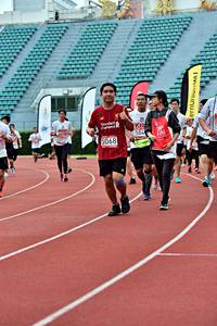 BIB: 584, 5068
                            <button type="button" onclick="openModal(6099141)" class="btn btn-primary btn-sm float-right btn-popup" data-toggle="modal" data-target=".modal-high-quality">
                        <i class="fas fa-shopping-cart"></i> Add to Cart
                    </button>
                                            <button type="button" onclick="isThisMe(6099141, true)" class="btn btn-success btn-sm float-right btn-popup btn-isme hidden" data-toggle="tooltip" data-placement="bottom" title="นี่คือรูปของคุณใช่ไหม คลิกที่นี่เพื่อเอาเข้าอัลบั้ม">
                        <i class="fas fa-plus"></i> Add to album
                    </button>
                    <button type="button" onclick="isThisMe(6099141, false)" class="btn btn-warning btn-sm float-right btn-popup btn-isnotme hidden">
                        <i class="fas fa-ban"></i> Remove from album
                    </button>