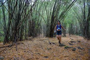 BIB: 
                            <button type="button" onclick="openModal(181391)" class="btn btn-primary btn-sm float-right btn-popup" data-toggle="modal" data-target=".modal-high-quality">
                        <i class="fas fa-shopping-cart"></i> Add to Cart
                    </button>
                                            <button type="button" onclick="isThisMe(181391, true)" class="btn btn-success btn-sm float-right btn-popup btn-isme hidden" data-toggle="tooltip" data-placement="bottom" title="นี่คือรูปของคุณใช่ไหม คลิกที่นี่เพื่อเอาเข้าอัลบั้ม">
                        <i class="fas fa-plus"></i> Add to album
                    </button>
                    <button type="button" onclick="isThisMe(181391, false)" class="btn btn-warning btn-sm float-right btn-popup btn-isnotme hidden">
                        <i class="fas fa-ban"></i> Remove from album
                    </button>