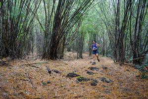 BIB: 
                            <button type="button" onclick="openModal(181388)" class="btn btn-primary btn-sm float-right btn-popup" data-toggle="modal" data-target=".modal-high-quality">
                        <i class="fas fa-shopping-cart"></i> Add to Cart
                    </button>
                                            <button type="button" onclick="isThisMe(181388, true)" class="btn btn-success btn-sm float-right btn-popup btn-isme hidden" data-toggle="tooltip" data-placement="bottom" title="นี่คือรูปของคุณใช่ไหม คลิกที่นี่เพื่อเอาเข้าอัลบั้ม">
                        <i class="fas fa-plus"></i> Add to album
                    </button>
                    <button type="button" onclick="isThisMe(181388, false)" class="btn btn-warning btn-sm float-right btn-popup btn-isnotme hidden">
                        <i class="fas fa-ban"></i> Remove from album
                    </button>