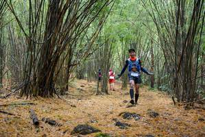 BIB: 
                            <button type="button" onclick="openModal(181394)" class="btn btn-primary btn-sm float-right btn-popup" data-toggle="modal" data-target=".modal-high-quality">
                        <i class="fas fa-shopping-cart"></i> Add to Cart
                    </button>
                                            <button type="button" onclick="isThisMe(181394, true)" class="btn btn-success btn-sm float-right btn-popup btn-isme hidden" data-toggle="tooltip" data-placement="bottom" title="นี่คือรูปของคุณใช่ไหม คลิกที่นี่เพื่อเอาเข้าอัลบั้ม">
                        <i class="fas fa-plus"></i> Add to album
                    </button>
                    <button type="button" onclick="isThisMe(181394, false)" class="btn btn-warning btn-sm float-right btn-popup btn-isnotme hidden">
                        <i class="fas fa-ban"></i> Remove from album
                    </button>