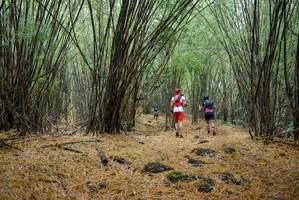 BIB: 
                            <button type="button" onclick="openModal(181393)" class="btn btn-primary btn-sm float-right btn-popup" data-toggle="modal" data-target=".modal-high-quality">
                        <i class="fas fa-shopping-cart"></i> Add to Cart
                    </button>
                                            <button type="button" onclick="isThisMe(181393, true)" class="btn btn-success btn-sm float-right btn-popup btn-isme hidden" data-toggle="tooltip" data-placement="bottom" title="นี่คือรูปของคุณใช่ไหม คลิกที่นี่เพื่อเอาเข้าอัลบั้ม">
                        <i class="fas fa-plus"></i> Add to album
                    </button>
                    <button type="button" onclick="isThisMe(181393, false)" class="btn btn-warning btn-sm float-right btn-popup btn-isnotme hidden">
                        <i class="fas fa-ban"></i> Remove from album
                    </button>