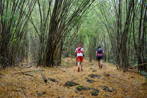 BIB: 
                            <button type="button" onclick="openModal(181392)" class="btn btn-primary btn-sm float-right btn-popup" data-toggle="modal" data-target=".modal-high-quality">
                        <i class="fas fa-shopping-cart"></i> Add to Cart
                    </button>
                                            <button type="button" onclick="isThisMe(181392, true)" class="btn btn-success btn-sm float-right btn-popup btn-isme hidden" data-toggle="tooltip" data-placement="bottom" title="นี่คือรูปของคุณใช่ไหม คลิกที่นี่เพื่อเอาเข้าอัลบั้ม">
                        <i class="fas fa-plus"></i> Add to album
                    </button>
                    <button type="button" onclick="isThisMe(181392, false)" class="btn btn-warning btn-sm float-right btn-popup btn-isnotme hidden">
                        <i class="fas fa-ban"></i> Remove from album
                    </button>