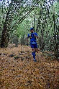 BIB: 
                            <button type="button" onclick="openModal(159494)" class="btn btn-primary btn-sm float-right btn-popup" data-toggle="modal" data-target=".modal-high-quality">
                        <i class="fas fa-shopping-cart"></i> Add to Cart
                    </button>
                                            <button type="button" onclick="isThisMe(159494, true)" class="btn btn-success btn-sm float-right btn-popup btn-isme hidden" data-toggle="tooltip" data-placement="bottom" title="นี่คือรูปของคุณใช่ไหม คลิกที่นี่เพื่อเอาเข้าอัลบั้ม">
                        <i class="fas fa-plus"></i> Add to album
                    </button>
                    <button type="button" onclick="isThisMe(159494, false)" class="btn btn-warning btn-sm float-right btn-popup btn-isnotme hidden">
                        <i class="fas fa-ban"></i> Remove from album
                    </button>