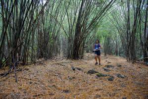 BIB: 
                            <button type="button" onclick="openModal(181389)" class="btn btn-primary btn-sm float-right btn-popup" data-toggle="modal" data-target=".modal-high-quality">
                        <i class="fas fa-shopping-cart"></i> Add to Cart
                    </button>
                                            <button type="button" onclick="isThisMe(181389, true)" class="btn btn-success btn-sm float-right btn-popup btn-isme hidden" data-toggle="tooltip" data-placement="bottom" title="นี่คือรูปของคุณใช่ไหม คลิกที่นี่เพื่อเอาเข้าอัลบั้ม">
                        <i class="fas fa-plus"></i> Add to album
                    </button>
                    <button type="button" onclick="isThisMe(181389, false)" class="btn btn-warning btn-sm float-right btn-popup btn-isnotme hidden">
                        <i class="fas fa-ban"></i> Remove from album
                    </button>