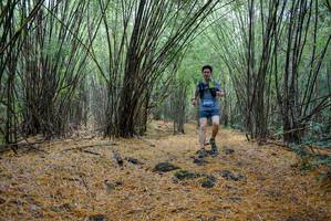 BIB: 
                            <button type="button" onclick="openModal(181395)" class="btn btn-primary btn-sm float-right btn-popup" data-toggle="modal" data-target=".modal-high-quality">
                        <i class="fas fa-shopping-cart"></i> Add to Cart
                    </button>
                                            <button type="button" onclick="isThisMe(181395, true)" class="btn btn-success btn-sm float-right btn-popup btn-isme hidden" data-toggle="tooltip" data-placement="bottom" title="นี่คือรูปของคุณใช่ไหม คลิกที่นี่เพื่อเอาเข้าอัลบั้ม">
                        <i class="fas fa-plus"></i> Add to album
                    </button>
                    <button type="button" onclick="isThisMe(181395, false)" class="btn btn-warning btn-sm float-right btn-popup btn-isnotme hidden">
                        <i class="fas fa-ban"></i> Remove from album
                    </button>