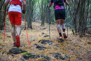 BIB: 
                            <button type="button" onclick="openModal(159500)" class="btn btn-primary btn-sm float-right btn-popup" data-toggle="modal" data-target=".modal-high-quality">
                        <i class="fas fa-shopping-cart"></i> Add to Cart
                    </button>
                                            <button type="button" onclick="isThisMe(159500, true)" class="btn btn-success btn-sm float-right btn-popup btn-isme hidden" data-toggle="tooltip" data-placement="bottom" title="นี่คือรูปของคุณใช่ไหม คลิกที่นี่เพื่อเอาเข้าอัลบั้ม">
                        <i class="fas fa-plus"></i> Add to album
                    </button>
                    <button type="button" onclick="isThisMe(159500, false)" class="btn btn-warning btn-sm float-right btn-popup btn-isnotme hidden">
                        <i class="fas fa-ban"></i> Remove from album
                    </button>