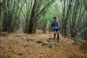 BIB: 
                            <button type="button" onclick="openModal(181396)" class="btn btn-primary btn-sm float-right btn-popup" data-toggle="modal" data-target=".modal-high-quality">
                        <i class="fas fa-shopping-cart"></i> Add to Cart
                    </button>
                                            <button type="button" onclick="isThisMe(181396, true)" class="btn btn-success btn-sm float-right btn-popup btn-isme hidden" data-toggle="tooltip" data-placement="bottom" title="นี่คือรูปของคุณใช่ไหม คลิกที่นี่เพื่อเอาเข้าอัลบั้ม">
                        <i class="fas fa-plus"></i> Add to album
                    </button>
                    <button type="button" onclick="isThisMe(181396, false)" class="btn btn-warning btn-sm float-right btn-popup btn-isnotme hidden">
                        <i class="fas fa-ban"></i> Remove from album
                    </button>