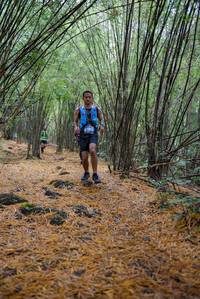 BIB: 
                            <button type="button" onclick="openModal(159461)" class="btn btn-primary btn-sm float-right btn-popup" data-toggle="modal" data-target=".modal-high-quality">
                        <i class="fas fa-shopping-cart"></i> Add to Cart
                    </button>
                                            <button type="button" onclick="isThisMe(159461, true)" class="btn btn-success btn-sm float-right btn-popup btn-isme hidden" data-toggle="tooltip" data-placement="bottom" title="นี่คือรูปของคุณใช่ไหม คลิกที่นี่เพื่อเอาเข้าอัลบั้ม">
                        <i class="fas fa-plus"></i> Add to album
                    </button>
                    <button type="button" onclick="isThisMe(159461, false)" class="btn btn-warning btn-sm float-right btn-popup btn-isnotme hidden">
                        <i class="fas fa-ban"></i> Remove from album
                    </button>