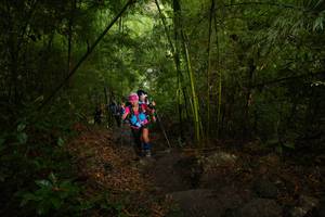 BIB: 
                            <button type="button" onclick="openModal(183083)" class="btn btn-primary btn-sm float-right btn-popup" data-toggle="modal" data-target=".modal-high-quality">
                        <i class="fas fa-shopping-cart"></i> Add to Cart
                    </button>
                                            <button type="button" onclick="isThisMe(183083, true)" class="btn btn-success btn-sm float-right btn-popup btn-isme hidden" data-toggle="tooltip" data-placement="bottom" title="นี่คือรูปของคุณใช่ไหม คลิกที่นี่เพื่อเอาเข้าอัลบั้ม">
                        <i class="fas fa-plus"></i> Add to album
                    </button>
                    <button type="button" onclick="isThisMe(183083, false)" class="btn btn-warning btn-sm float-right btn-popup btn-isnotme hidden">
                        <i class="fas fa-ban"></i> Remove from album
                    </button>