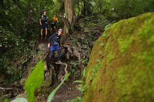 BIB: 
                            <button type="button" onclick="openModal(183644)" class="btn btn-primary btn-sm float-right btn-popup" data-toggle="modal" data-target=".modal-high-quality">
                        <i class="fas fa-shopping-cart"></i> Add to Cart
                    </button>
                                            <button type="button" onclick="isThisMe(183644, true)" class="btn btn-success btn-sm float-right btn-popup btn-isme hidden" data-toggle="tooltip" data-placement="bottom" title="นี่คือรูปของคุณใช่ไหม คลิกที่นี่เพื่อเอาเข้าอัลบั้ม">
                        <i class="fas fa-plus"></i> Add to album
                    </button>
                    <button type="button" onclick="isThisMe(183644, false)" class="btn btn-warning btn-sm float-right btn-popup btn-isnotme hidden">
                        <i class="fas fa-ban"></i> Remove from album
                    </button>