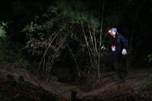 BIB: 
                            <button type="button" onclick="openModal(6915258)" class="btn btn-primary btn-sm float-right btn-popup" data-toggle="modal" data-target=".modal-high-quality">
                        <i class="fas fa-shopping-cart"></i> Add to Cart
                    </button>
                                            <button type="button" onclick="isThisMe(6915258, true)" class="btn btn-success btn-sm float-right btn-popup btn-isme hidden" data-toggle="tooltip" data-placement="bottom" title="นี่คือรูปของคุณใช่ไหม คลิกที่นี่เพื่อเอาเข้าอัลบั้ม">
                        <i class="fas fa-plus"></i> Add to album
                    </button>
                    <button type="button" onclick="isThisMe(6915258, false)" class="btn btn-warning btn-sm float-right btn-popup btn-isnotme hidden">
                        <i class="fas fa-ban"></i> Remove from album
                    </button>