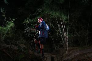 BIB: 
                            <button type="button" onclick="openModal(6913581)" class="btn btn-primary btn-sm float-right btn-popup" data-toggle="modal" data-target=".modal-high-quality">
                        <i class="fas fa-shopping-cart"></i> Add to Cart
                    </button>
                                            <button type="button" onclick="isThisMe(6913581, true)" class="btn btn-success btn-sm float-right btn-popup btn-isme hidden" data-toggle="tooltip" data-placement="bottom" title="นี่คือรูปของคุณใช่ไหม คลิกที่นี่เพื่อเอาเข้าอัลบั้ม">
                        <i class="fas fa-plus"></i> Add to album
                    </button>
                    <button type="button" onclick="isThisMe(6913581, false)" class="btn btn-warning btn-sm float-right btn-popup btn-isnotme hidden">
                        <i class="fas fa-ban"></i> Remove from album
                    </button>