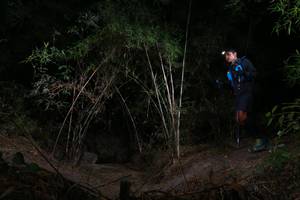 BIB: 
                            <button type="button" onclick="openModal(6912194)" class="btn btn-primary btn-sm float-right btn-popup" data-toggle="modal" data-target=".modal-high-quality">
                        <i class="fas fa-shopping-cart"></i> Add to Cart
                    </button>
                                            <button type="button" onclick="isThisMe(6912194, true)" class="btn btn-success btn-sm float-right btn-popup btn-isme hidden" data-toggle="tooltip" data-placement="bottom" title="นี่คือรูปของคุณใช่ไหม คลิกที่นี่เพื่อเอาเข้าอัลบั้ม">
                        <i class="fas fa-plus"></i> Add to album
                    </button>
                    <button type="button" onclick="isThisMe(6912194, false)" class="btn btn-warning btn-sm float-right btn-popup btn-isnotme hidden">
                        <i class="fas fa-ban"></i> Remove from album
                    </button>