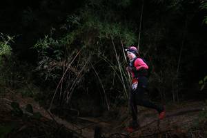 BIB: 
                            <button type="button" onclick="openModal(6913184)" class="btn btn-primary btn-sm float-right btn-popup" data-toggle="modal" data-target=".modal-high-quality">
                        <i class="fas fa-shopping-cart"></i> Add to Cart
                    </button>
                                            <button type="button" onclick="isThisMe(6913184, true)" class="btn btn-success btn-sm float-right btn-popup btn-isme hidden" data-toggle="tooltip" data-placement="bottom" title="นี่คือรูปของคุณใช่ไหม คลิกที่นี่เพื่อเอาเข้าอัลบั้ม">
                        <i class="fas fa-plus"></i> Add to album
                    </button>
                    <button type="button" onclick="isThisMe(6913184, false)" class="btn btn-warning btn-sm float-right btn-popup btn-isnotme hidden">
                        <i class="fas fa-ban"></i> Remove from album
                    </button>