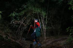 BIB: 
                            <button type="button" onclick="openModal(6914846)" class="btn btn-primary btn-sm float-right btn-popup" data-toggle="modal" data-target=".modal-high-quality">
                        <i class="fas fa-shopping-cart"></i> Add to Cart
                    </button>
                                            <button type="button" onclick="isThisMe(6914846, true)" class="btn btn-success btn-sm float-right btn-popup btn-isme hidden" data-toggle="tooltip" data-placement="bottom" title="นี่คือรูปของคุณใช่ไหม คลิกที่นี่เพื่อเอาเข้าอัลบั้ม">
                        <i class="fas fa-plus"></i> Add to album
                    </button>
                    <button type="button" onclick="isThisMe(6914846, false)" class="btn btn-warning btn-sm float-right btn-popup btn-isnotme hidden">
                        <i class="fas fa-ban"></i> Remove from album
                    </button>