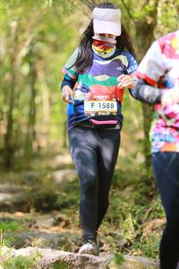 BIB: 1588
                            <button type="button" onclick="openModal(6920480)" class="btn btn-primary btn-sm float-right btn-popup" data-toggle="modal" data-target=".modal-high-quality">
                        <i class="fas fa-shopping-cart"></i> Add to Cart
                    </button>
                                            <button type="button" onclick="isThisMe(6920480, true)" class="btn btn-success btn-sm float-right btn-popup btn-isme hidden" data-toggle="tooltip" data-placement="bottom" title="นี่คือรูปของคุณใช่ไหม คลิกที่นี่เพื่อเอาเข้าอัลบั้ม">
                        <i class="fas fa-plus"></i> Add to album
                    </button>
                    <button type="button" onclick="isThisMe(6920480, false)" class="btn btn-warning btn-sm float-right btn-popup btn-isnotme hidden">
                        <i class="fas fa-ban"></i> Remove from album
                    </button>