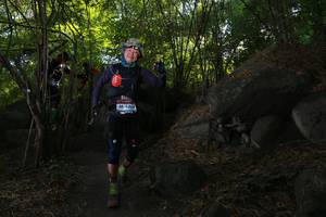 BIB: 446, 
                            <button type="button" onclick="openModal(6935260)" class="btn btn-primary btn-sm float-right btn-popup" data-toggle="modal" data-target=".modal-high-quality">
                        <i class="fas fa-shopping-cart"></i> Add to Cart
                    </button>
                                            <button type="button" onclick="isThisMe(6935260, true)" class="btn btn-success btn-sm float-right btn-popup btn-isme hidden" data-toggle="tooltip" data-placement="bottom" title="นี่คือรูปของคุณใช่ไหม คลิกที่นี่เพื่อเอาเข้าอัลบั้ม">
                        <i class="fas fa-plus"></i> Add to album
                    </button>
                    <button type="button" onclick="isThisMe(6935260, false)" class="btn btn-warning btn-sm float-right btn-popup btn-isnotme hidden">
                        <i class="fas fa-ban"></i> Remove from album
                    </button>