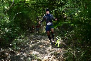 BIB: 4004, 
                            <button type="button" onclick="openModal(7022603)" class="btn btn-primary btn-sm float-right btn-popup" data-toggle="modal" data-target=".modal-high-quality">
                        <i class="fas fa-shopping-cart"></i> Add to Cart
                    </button>
                                            <button type="button" onclick="isThisMe(7022603, true)" class="btn btn-success btn-sm float-right btn-popup btn-isme hidden" data-toggle="tooltip" data-placement="bottom" title="นี่คือรูปของคุณใช่ไหม คลิกที่นี่เพื่อเอาเข้าอัลบั้ม">
                        <i class="fas fa-plus"></i> Add to album
                    </button>
                    <button type="button" onclick="isThisMe(7022603, false)" class="btn btn-warning btn-sm float-right btn-popup btn-isnotme hidden">
                        <i class="fas fa-ban"></i> Remove from album
                    </button>