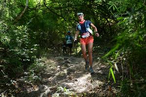 BIB: 7772
                            <button type="button" onclick="openModal(7023512)" class="btn btn-primary btn-sm float-right btn-popup" data-toggle="modal" data-target=".modal-high-quality">
                        <i class="fas fa-shopping-cart"></i> Add to Cart
                    </button>
                                            <button type="button" onclick="isThisMe(7023512, true)" class="btn btn-success btn-sm float-right btn-popup btn-isme hidden" data-toggle="tooltip" data-placement="bottom" title="นี่คือรูปของคุณใช่ไหม คลิกที่นี่เพื่อเอาเข้าอัลบั้ม">
                        <i class="fas fa-plus"></i> Add to album
                    </button>
                    <button type="button" onclick="isThisMe(7023512, false)" class="btn btn-warning btn-sm float-right btn-popup btn-isnotme hidden">
                        <i class="fas fa-ban"></i> Remove from album
                    </button>