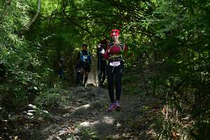 BIB: 2601
                            <button type="button" onclick="openModal(7029033)" class="btn btn-primary btn-sm float-right btn-popup" data-toggle="modal" data-target=".modal-high-quality">
                        <i class="fas fa-shopping-cart"></i> Add to Cart
                    </button>
                                            <button type="button" onclick="isThisMe(7029033, true)" class="btn btn-success btn-sm float-right btn-popup btn-isme hidden" data-toggle="tooltip" data-placement="bottom" title="นี่คือรูปของคุณใช่ไหม คลิกที่นี่เพื่อเอาเข้าอัลบั้ม">
                        <i class="fas fa-plus"></i> Add to album
                    </button>
                    <button type="button" onclick="isThisMe(7029033, false)" class="btn btn-warning btn-sm float-right btn-popup btn-isnotme hidden">
                        <i class="fas fa-ban"></i> Remove from album
                    </button>