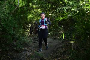 BIB: 2678
                            <button type="button" onclick="openModal(7032618)" class="btn btn-primary btn-sm float-right btn-popup" data-toggle="modal" data-target=".modal-high-quality">
                        <i class="fas fa-shopping-cart"></i> Add to Cart
                    </button>
                                            <button type="button" onclick="isThisMe(7032618, true)" class="btn btn-success btn-sm float-right btn-popup btn-isme hidden" data-toggle="tooltip" data-placement="bottom" title="นี่คือรูปของคุณใช่ไหม คลิกที่นี่เพื่อเอาเข้าอัลบั้ม">
                        <i class="fas fa-plus"></i> Add to album
                    </button>
                    <button type="button" onclick="isThisMe(7032618, false)" class="btn btn-warning btn-sm float-right btn-popup btn-isnotme hidden">
                        <i class="fas fa-ban"></i> Remove from album
                    </button>