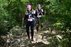 BIB: 2192, 212
                            <button type="button" onclick="openModal(7021314)" class="btn btn-primary btn-sm float-right btn-popup" data-toggle="modal" data-target=".modal-high-quality">
                        <i class="fas fa-shopping-cart"></i> Add to Cart
                    </button>
                                            <button type="button" onclick="isThisMe(7021314, true)" class="btn btn-success btn-sm float-right btn-popup btn-isme hidden" data-toggle="tooltip" data-placement="bottom" title="นี่คือรูปของคุณใช่ไหม คลิกที่นี่เพื่อเอาเข้าอัลบั้ม">
                        <i class="fas fa-plus"></i> Add to album
                    </button>
                    <button type="button" onclick="isThisMe(7021314, false)" class="btn btn-warning btn-sm float-right btn-popup btn-isnotme hidden">
                        <i class="fas fa-ban"></i> Remove from album
                    </button>