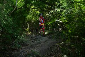 BIB: 
                            <button type="button" onclick="openModal(7032276)" class="btn btn-primary btn-sm float-right btn-popup" data-toggle="modal" data-target=".modal-high-quality">
                        <i class="fas fa-shopping-cart"></i> Add to Cart
                    </button>
                                            <button type="button" onclick="isThisMe(7032276, true)" class="btn btn-success btn-sm float-right btn-popup btn-isme hidden" data-toggle="tooltip" data-placement="bottom" title="นี่คือรูปของคุณใช่ไหม คลิกที่นี่เพื่อเอาเข้าอัลบั้ม">
                        <i class="fas fa-plus"></i> Add to album
                    </button>
                    <button type="button" onclick="isThisMe(7032276, false)" class="btn btn-warning btn-sm float-right btn-popup btn-isnotme hidden">
                        <i class="fas fa-ban"></i> Remove from album
                    </button>