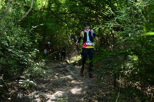 BIB: 447
                            <button type="button" onclick="openModal(7028490)" class="btn btn-primary btn-sm float-right btn-popup" data-toggle="modal" data-target=".modal-high-quality">
                        <i class="fas fa-shopping-cart"></i> Add to Cart
                    </button>
                                            <button type="button" onclick="isThisMe(7028490, true)" class="btn btn-success btn-sm float-right btn-popup btn-isme hidden" data-toggle="tooltip" data-placement="bottom" title="นี่คือรูปของคุณใช่ไหม คลิกที่นี่เพื่อเอาเข้าอัลบั้ม">
                        <i class="fas fa-plus"></i> Add to album
                    </button>
                    <button type="button" onclick="isThisMe(7028490, false)" class="btn btn-warning btn-sm float-right btn-popup btn-isnotme hidden">
                        <i class="fas fa-ban"></i> Remove from album
                    </button>