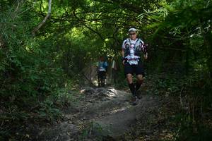 BIB: 
                            <button type="button" onclick="openModal(7033582)" class="btn btn-primary btn-sm float-right btn-popup" data-toggle="modal" data-target=".modal-high-quality">
                        <i class="fas fa-shopping-cart"></i> Add to Cart
                    </button>
                                            <button type="button" onclick="isThisMe(7033582, true)" class="btn btn-success btn-sm float-right btn-popup btn-isme hidden" data-toggle="tooltip" data-placement="bottom" title="นี่คือรูปของคุณใช่ไหม คลิกที่นี่เพื่อเอาเข้าอัลบั้ม">
                        <i class="fas fa-plus"></i> Add to album
                    </button>
                    <button type="button" onclick="isThisMe(7033582, false)" class="btn btn-warning btn-sm float-right btn-popup btn-isnotme hidden">
                        <i class="fas fa-ban"></i> Remove from album
                    </button>