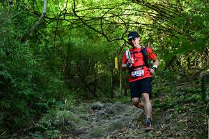 BIB: 2278
                            <button type="button" onclick="openModal(6998500)" class="btn btn-primary btn-sm float-right btn-popup" data-toggle="modal" data-target=".modal-high-quality">
                        <i class="fas fa-shopping-cart"></i> Add to Cart
                    </button>
                                            <button type="button" onclick="isThisMe(6998500, true)" class="btn btn-success btn-sm float-right btn-popup btn-isme hidden" data-toggle="tooltip" data-placement="bottom" title="นี่คือรูปของคุณใช่ไหม คลิกที่นี่เพื่อเอาเข้าอัลบั้ม">
                        <i class="fas fa-plus"></i> Add to album
                    </button>
                    <button type="button" onclick="isThisMe(6998500, false)" class="btn btn-warning btn-sm float-right btn-popup btn-isnotme hidden">
                        <i class="fas fa-ban"></i> Remove from album
                    </button>