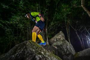 BIB: 
                            <button type="button" onclick="openModal(7049459)" class="btn btn-primary btn-sm float-right btn-popup" data-toggle="modal" data-target=".modal-high-quality">
                        <i class="fas fa-shopping-cart"></i> Add to Cart
                    </button>
                                            <button type="button" onclick="isThisMe(7049459, true)" class="btn btn-success btn-sm float-right btn-popup btn-isme hidden" data-toggle="tooltip" data-placement="bottom" title="นี่คือรูปของคุณใช่ไหม คลิกที่นี่เพื่อเอาเข้าอัลบั้ม">
                        <i class="fas fa-plus"></i> Add to album
                    </button>
                    <button type="button" onclick="isThisMe(7049459, false)" class="btn btn-warning btn-sm float-right btn-popup btn-isnotme hidden">
                        <i class="fas fa-ban"></i> Remove from album
                    </button>