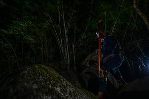 BIB: 
                            <button type="button" onclick="openModal(7049248)" class="btn btn-primary btn-sm float-right btn-popup" data-toggle="modal" data-target=".modal-high-quality">
                        <i class="fas fa-shopping-cart"></i> Add to Cart
                    </button>
                                            <button type="button" onclick="isThisMe(7049248, true)" class="btn btn-success btn-sm float-right btn-popup btn-isme hidden" data-toggle="tooltip" data-placement="bottom" title="นี่คือรูปของคุณใช่ไหม คลิกที่นี่เพื่อเอาเข้าอัลบั้ม">
                        <i class="fas fa-plus"></i> Add to album
                    </button>
                    <button type="button" onclick="isThisMe(7049248, false)" class="btn btn-warning btn-sm float-right btn-popup btn-isnotme hidden">
                        <i class="fas fa-ban"></i> Remove from album
                    </button>