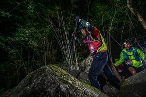 BIB: 
                            <button type="button" onclick="openModal(7049718)" class="btn btn-primary btn-sm float-right btn-popup" data-toggle="modal" data-target=".modal-high-quality">
                        <i class="fas fa-shopping-cart"></i> Add to Cart
                    </button>
                                            <button type="button" onclick="isThisMe(7049718, true)" class="btn btn-success btn-sm float-right btn-popup btn-isme hidden" data-toggle="tooltip" data-placement="bottom" title="นี่คือรูปของคุณใช่ไหม คลิกที่นี่เพื่อเอาเข้าอัลบั้ม">
                        <i class="fas fa-plus"></i> Add to album
                    </button>
                    <button type="button" onclick="isThisMe(7049718, false)" class="btn btn-warning btn-sm float-right btn-popup btn-isnotme hidden">
                        <i class="fas fa-ban"></i> Remove from album
                    </button>