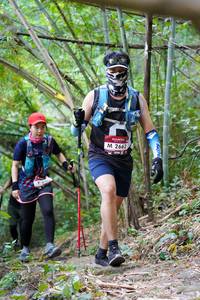 BIB: 2662, 
                            <button type="button" onclick="openModal(7008833)" class="btn btn-primary btn-sm float-right btn-popup" data-toggle="modal" data-target=".modal-high-quality">
                        <i class="fas fa-shopping-cart"></i> Add to Cart
                    </button>
                                            <button type="button" onclick="isThisMe(7008833, true)" class="btn btn-success btn-sm float-right btn-popup btn-isme hidden" data-toggle="tooltip" data-placement="bottom" title="นี่คือรูปของคุณใช่ไหม คลิกที่นี่เพื่อเอาเข้าอัลบั้ม">
                        <i class="fas fa-plus"></i> Add to album
                    </button>
                    <button type="button" onclick="isThisMe(7008833, false)" class="btn btn-warning btn-sm float-right btn-popup btn-isnotme hidden">
                        <i class="fas fa-ban"></i> Remove from album
                    </button>