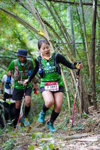 BIB: 2893
                            <button type="button" onclick="openModal(7008152)" class="btn btn-primary btn-sm float-right btn-popup" data-toggle="modal" data-target=".modal-high-quality">
                        <i class="fas fa-shopping-cart"></i> Add to Cart
                    </button>
                                            <button type="button" onclick="isThisMe(7008152, true)" class="btn btn-success btn-sm float-right btn-popup btn-isme hidden" data-toggle="tooltip" data-placement="bottom" title="นี่คือรูปของคุณใช่ไหม คลิกที่นี่เพื่อเอาเข้าอัลบั้ม">
                        <i class="fas fa-plus"></i> Add to album
                    </button>
                    <button type="button" onclick="isThisMe(7008152, false)" class="btn btn-warning btn-sm float-right btn-popup btn-isnotme hidden">
                        <i class="fas fa-ban"></i> Remove from album
                    </button>