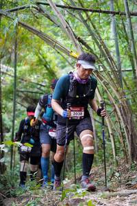 BIB: 2038
                            <button type="button" onclick="openModal(6991499)" class="btn btn-primary btn-sm float-right btn-popup" data-toggle="modal" data-target=".modal-high-quality">
                        <i class="fas fa-shopping-cart"></i> Add to Cart
                    </button>
                                            <button type="button" onclick="isThisMe(6991499, true)" class="btn btn-success btn-sm float-right btn-popup btn-isme hidden" data-toggle="tooltip" data-placement="bottom" title="นี่คือรูปของคุณใช่ไหม คลิกที่นี่เพื่อเอาเข้าอัลบั้ม">
                        <i class="fas fa-plus"></i> Add to album
                    </button>
                    <button type="button" onclick="isThisMe(6991499, false)" class="btn btn-warning btn-sm float-right btn-popup btn-isnotme hidden">
                        <i class="fas fa-ban"></i> Remove from album
                    </button>