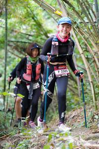 BIB: 2505
                            <button type="button" onclick="openModal(7009045)" class="btn btn-primary btn-sm float-right btn-popup" data-toggle="modal" data-target=".modal-high-quality">
                        <i class="fas fa-shopping-cart"></i> Add to Cart
                    </button>
                                            <button type="button" onclick="isThisMe(7009045, true)" class="btn btn-success btn-sm float-right btn-popup btn-isme hidden" data-toggle="tooltip" data-placement="bottom" title="นี่คือรูปของคุณใช่ไหม คลิกที่นี่เพื่อเอาเข้าอัลบั้ม">
                        <i class="fas fa-plus"></i> Add to album
                    </button>
                    <button type="button" onclick="isThisMe(7009045, false)" class="btn btn-warning btn-sm float-right btn-popup btn-isnotme hidden">
                        <i class="fas fa-ban"></i> Remove from album
                    </button>