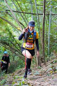 BIB: 2002, 
                            <button type="button" onclick="openModal(7007583)" class="btn btn-primary btn-sm float-right btn-popup" data-toggle="modal" data-target=".modal-high-quality">
                        <i class="fas fa-shopping-cart"></i> Add to Cart
                    </button>
                                            <button type="button" onclick="isThisMe(7007583, true)" class="btn btn-success btn-sm float-right btn-popup btn-isme hidden" data-toggle="tooltip" data-placement="bottom" title="นี่คือรูปของคุณใช่ไหม คลิกที่นี่เพื่อเอาเข้าอัลบั้ม">
                        <i class="fas fa-plus"></i> Add to album
                    </button>
                    <button type="button" onclick="isThisMe(7007583, false)" class="btn btn-warning btn-sm float-right btn-popup btn-isnotme hidden">
                        <i class="fas fa-ban"></i> Remove from album
                    </button>