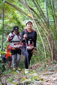 BIB: 2258, 2089
                            <button type="button" onclick="openModal(7007431)" class="btn btn-primary btn-sm float-right btn-popup" data-toggle="modal" data-target=".modal-high-quality">
                        <i class="fas fa-shopping-cart"></i> Add to Cart
                    </button>
                                            <button type="button" onclick="isThisMe(7007431, true)" class="btn btn-success btn-sm float-right btn-popup btn-isme hidden" data-toggle="tooltip" data-placement="bottom" title="นี่คือรูปของคุณใช่ไหม คลิกที่นี่เพื่อเอาเข้าอัลบั้ม">
                        <i class="fas fa-plus"></i> Add to album
                    </button>
                    <button type="button" onclick="isThisMe(7007431, false)" class="btn btn-warning btn-sm float-right btn-popup btn-isnotme hidden">
                        <i class="fas fa-ban"></i> Remove from album
                    </button>