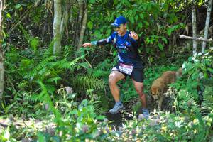 BIB: 2333
                            <button type="button" onclick="openModal(6882915)" class="btn btn-primary btn-sm float-right btn-popup" data-toggle="modal" data-target=".modal-high-quality">
                        <i class="fas fa-shopping-cart"></i> Add to Cart
                    </button>
                                            <button type="button" onclick="isThisMe(6882915, true)" class="btn btn-success btn-sm float-right btn-popup btn-isme hidden" data-toggle="tooltip" data-placement="bottom" title="นี่คือรูปของคุณใช่ไหม คลิกที่นี่เพื่อเอาเข้าอัลบั้ม">
                        <i class="fas fa-plus"></i> Add to album
                    </button>
                    <button type="button" onclick="isThisMe(6882915, false)" class="btn btn-warning btn-sm float-right btn-popup btn-isnotme hidden">
                        <i class="fas fa-ban"></i> Remove from album
                    </button>