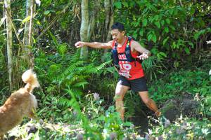 BIB: 
                            <button type="button" onclick="openModal(6882926)" class="btn btn-primary btn-sm float-right btn-popup" data-toggle="modal" data-target=".modal-high-quality">
                        <i class="fas fa-shopping-cart"></i> Add to Cart
                    </button>
                                            <button type="button" onclick="isThisMe(6882926, true)" class="btn btn-success btn-sm float-right btn-popup btn-isme hidden" data-toggle="tooltip" data-placement="bottom" title="นี่คือรูปของคุณใช่ไหม คลิกที่นี่เพื่อเอาเข้าอัลบั้ม">
                        <i class="fas fa-plus"></i> Add to album
                    </button>
                    <button type="button" onclick="isThisMe(6882926, false)" class="btn btn-warning btn-sm float-right btn-popup btn-isnotme hidden">
                        <i class="fas fa-ban"></i> Remove from album
                    </button>