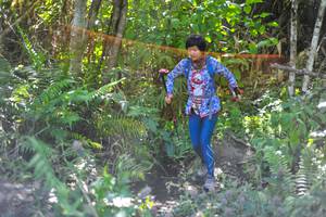 BIB: 
                            <button type="button" onclick="openModal(6883315)" class="btn btn-primary btn-sm float-right btn-popup" data-toggle="modal" data-target=".modal-high-quality">
                        <i class="fas fa-shopping-cart"></i> Add to Cart
                    </button>
                                            <button type="button" onclick="isThisMe(6883315, true)" class="btn btn-success btn-sm float-right btn-popup btn-isme hidden" data-toggle="tooltip" data-placement="bottom" title="นี่คือรูปของคุณใช่ไหม คลิกที่นี่เพื่อเอาเข้าอัลบั้ม">
                        <i class="fas fa-plus"></i> Add to album
                    </button>
                    <button type="button" onclick="isThisMe(6883315, false)" class="btn btn-warning btn-sm float-right btn-popup btn-isnotme hidden">
                        <i class="fas fa-ban"></i> Remove from album
                    </button>