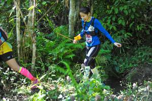 BIB: 
                            <button type="button" onclick="openModal(6882487)" class="btn btn-primary btn-sm float-right btn-popup" data-toggle="modal" data-target=".modal-high-quality">
                        <i class="fas fa-shopping-cart"></i> Add to Cart
                    </button>
                                            <button type="button" onclick="isThisMe(6882487, true)" class="btn btn-success btn-sm float-right btn-popup btn-isme hidden" data-toggle="tooltip" data-placement="bottom" title="นี่คือรูปของคุณใช่ไหม คลิกที่นี่เพื่อเอาเข้าอัลบั้ม">
                        <i class="fas fa-plus"></i> Add to album
                    </button>
                    <button type="button" onclick="isThisMe(6882487, false)" class="btn btn-warning btn-sm float-right btn-popup btn-isnotme hidden">
                        <i class="fas fa-ban"></i> Remove from album
                    </button>