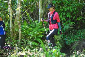 BIB: 
                            <button type="button" onclick="openModal(6882574)" class="btn btn-primary btn-sm float-right btn-popup" data-toggle="modal" data-target=".modal-high-quality">
                        <i class="fas fa-shopping-cart"></i> Add to Cart
                    </button>
                                            <button type="button" onclick="isThisMe(6882574, true)" class="btn btn-success btn-sm float-right btn-popup btn-isme hidden" data-toggle="tooltip" data-placement="bottom" title="นี่คือรูปของคุณใช่ไหม คลิกที่นี่เพื่อเอาเข้าอัลบั้ม">
                        <i class="fas fa-plus"></i> Add to album
                    </button>
                    <button type="button" onclick="isThisMe(6882574, false)" class="btn btn-warning btn-sm float-right btn-popup btn-isnotme hidden">
                        <i class="fas fa-ban"></i> Remove from album
                    </button>