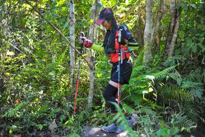 BIB: 
                            <button type="button" onclick="openModal(6886066)" class="btn btn-primary btn-sm float-right btn-popup" data-toggle="modal" data-target=".modal-high-quality">
                        <i class="fas fa-shopping-cart"></i> Add to Cart
                    </button>
                                            <button type="button" onclick="isThisMe(6886066, true)" class="btn btn-success btn-sm float-right btn-popup btn-isme hidden" data-toggle="tooltip" data-placement="bottom" title="นี่คือรูปของคุณใช่ไหม คลิกที่นี่เพื่อเอาเข้าอัลบั้ม">
                        <i class="fas fa-plus"></i> Add to album
                    </button>
                    <button type="button" onclick="isThisMe(6886066, false)" class="btn btn-warning btn-sm float-right btn-popup btn-isnotme hidden">
                        <i class="fas fa-ban"></i> Remove from album
                    </button>