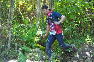 BIB: 5049, 
                            <button type="button" onclick="openModal(6885206)" class="btn btn-primary btn-sm float-right btn-popup" data-toggle="modal" data-target=".modal-high-quality">
                        <i class="fas fa-shopping-cart"></i> Add to Cart
                    </button>
                                            <button type="button" onclick="isThisMe(6885206, true)" class="btn btn-success btn-sm float-right btn-popup btn-isme hidden" data-toggle="tooltip" data-placement="bottom" title="นี่คือรูปของคุณใช่ไหม คลิกที่นี่เพื่อเอาเข้าอัลบั้ม">
                        <i class="fas fa-plus"></i> Add to album
                    </button>
                    <button type="button" onclick="isThisMe(6885206, false)" class="btn btn-warning btn-sm float-right btn-popup btn-isnotme hidden">
                        <i class="fas fa-ban"></i> Remove from album
                    </button>