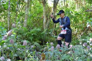 BIB: 2404
                            <button type="button" onclick="openModal(6899205)" class="btn btn-primary btn-sm float-right btn-popup" data-toggle="modal" data-target=".modal-high-quality">
                        <i class="fas fa-shopping-cart"></i> Add to Cart
                    </button>
                                            <button type="button" onclick="isThisMe(6899205, true)" class="btn btn-success btn-sm float-right btn-popup btn-isme hidden" data-toggle="tooltip" data-placement="bottom" title="นี่คือรูปของคุณใช่ไหม คลิกที่นี่เพื่อเอาเข้าอัลบั้ม">
                        <i class="fas fa-plus"></i> Add to album
                    </button>
                    <button type="button" onclick="isThisMe(6899205, false)" class="btn btn-warning btn-sm float-right btn-popup btn-isnotme hidden">
                        <i class="fas fa-ban"></i> Remove from album
                    </button>